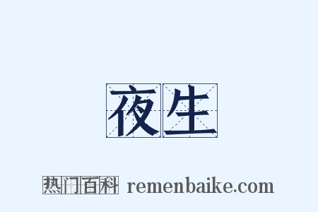 夜生是什么意思的图片
